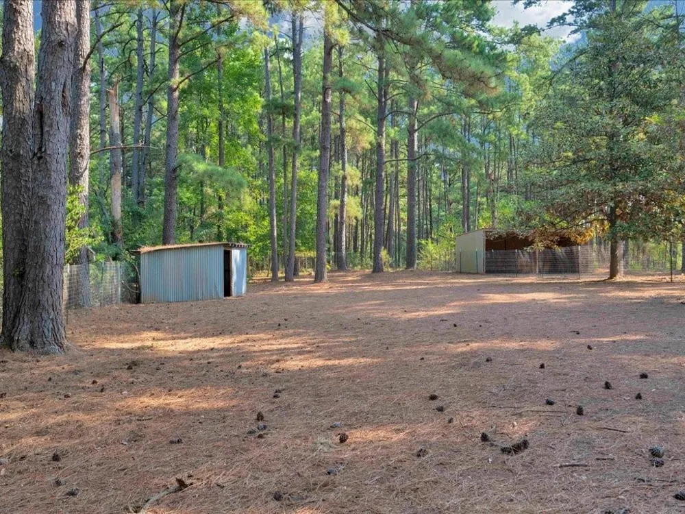 338 County Road 2041 Nacogdoches, TX 75965