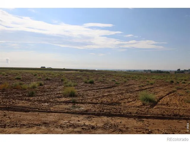 4326 County Road 38 Mead, CO 80651