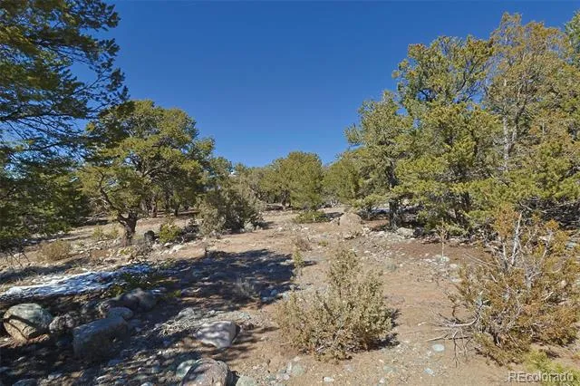 3608 Splendid Terrace Crestone, CO 81131