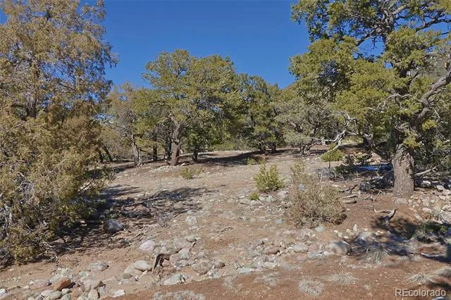 3608 Splendid Terrace Crestone, CO 81131