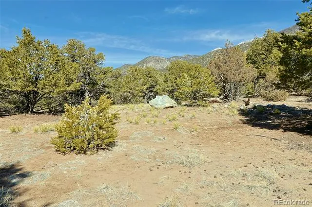 3609 Splendid Terrace Crestone, CO 81131