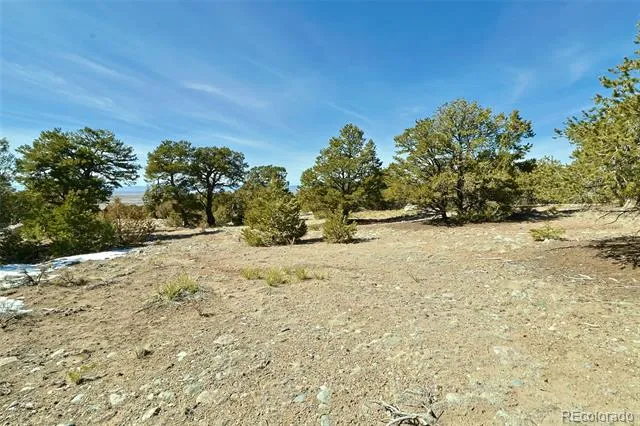 3609 Splendid Terrace Crestone, CO 81131