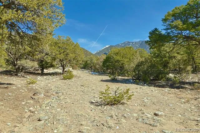3609 Splendid Terrace Crestone, CO 81131