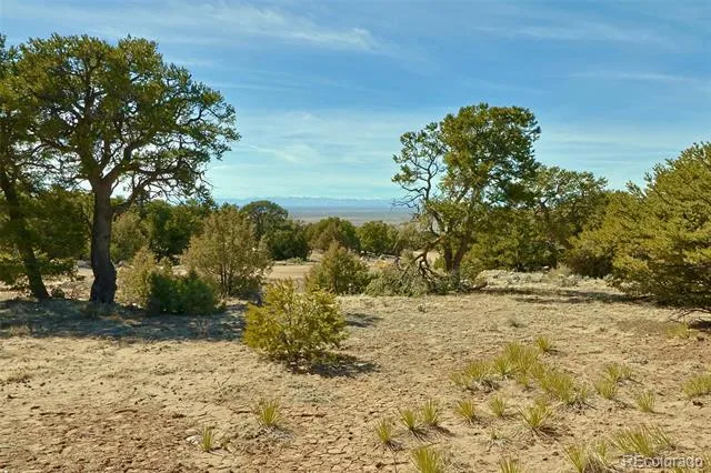 3609 Splendid Terrace Crestone, CO 81131
