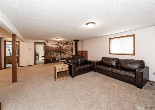 11210 Eggar Drive Peyton, CO 80831