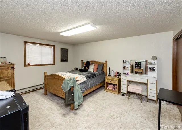 11210 Eggar Drive Peyton, CO 80831