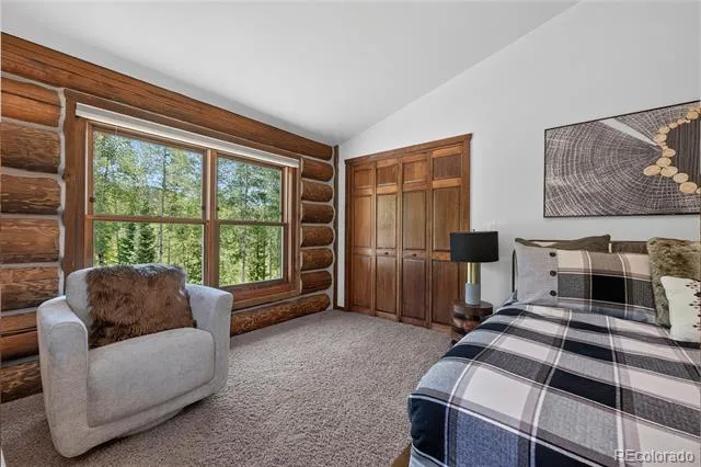 11 GCR 5001 Fraser, CO 80442