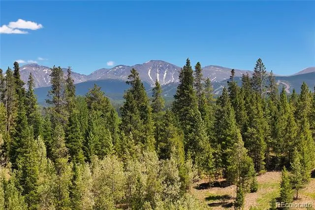 11 GCR 5001 Fraser, CO 80442