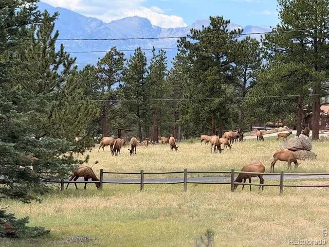 1041 Otis Lane Estes Park, CO 80517