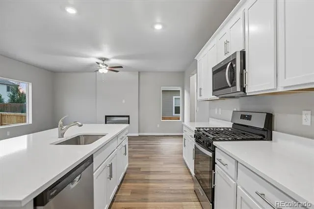 965 Cascade Falls Street Severance, CO 80550