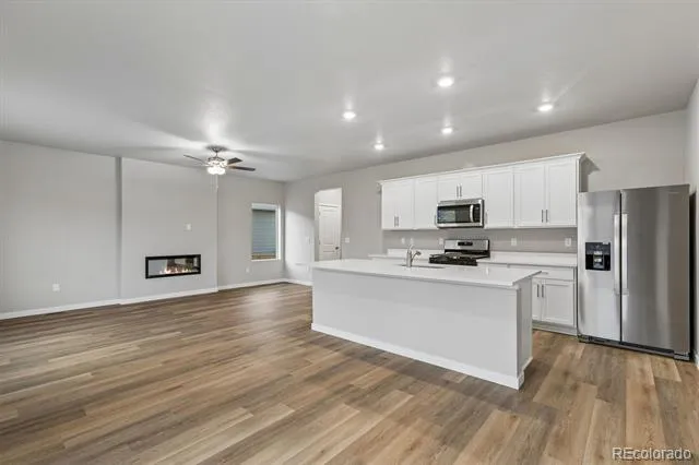 965 Cascade Falls Street Severance, CO 80550