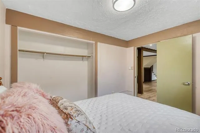 143 Elk Road Leadville, CO 80461