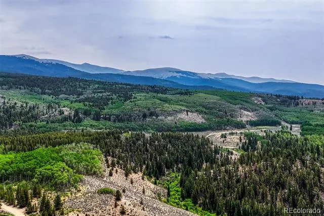 143 Elk Road Leadville, CO 80461