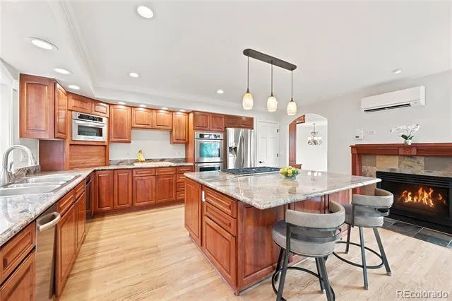 2161 Torrey Pine Drive Evergreen, CO 80439