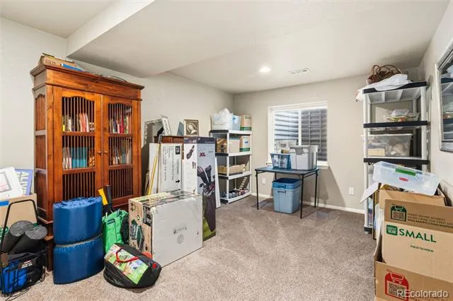 2124 Longfin Court Windsor, CO 80550