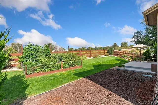 2124 Longfin Court Windsor, CO 80550