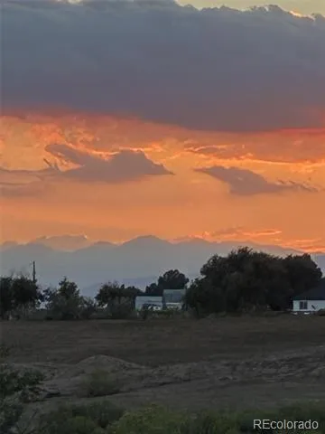 2124 Longfin Court Windsor, CO 80550