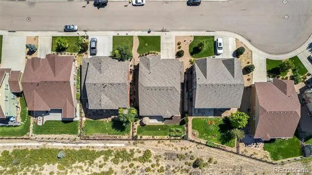 2124 Longfin Court Windsor, CO 80550