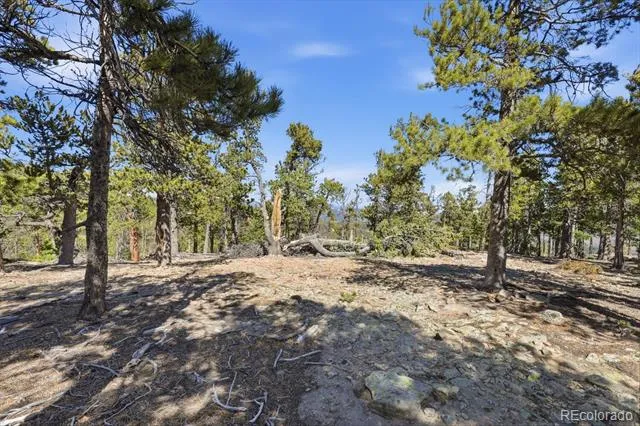 33149 Janelle Circle Golden, CO 80403