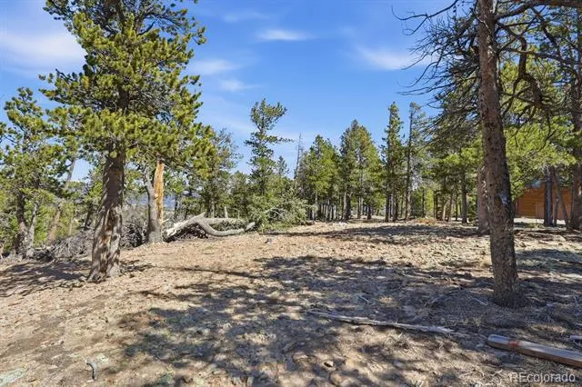 33149 Janelle Circle Golden, CO 80403
