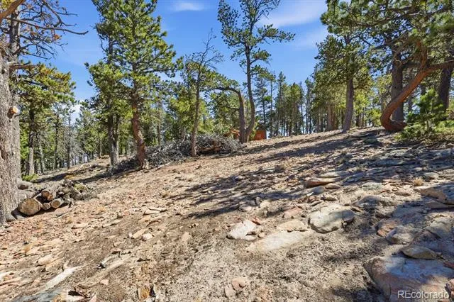 33149 Janelle Circle Golden, CO 80403