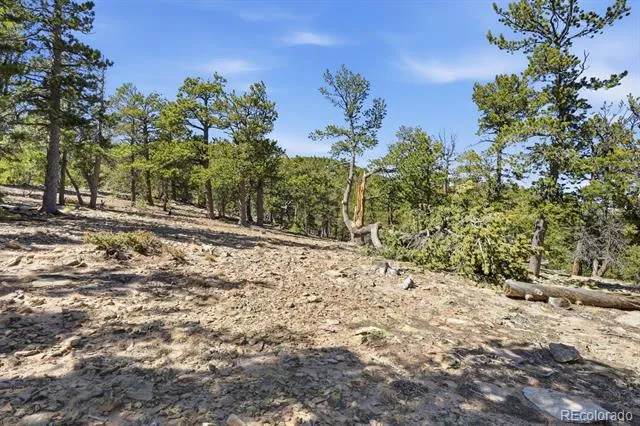 33149 Janelle Circle Golden, CO 80403