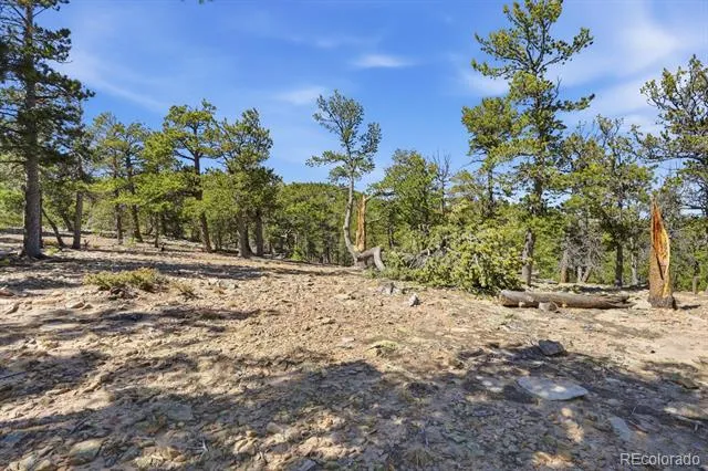 33149 Janelle Circle Golden, CO 80403