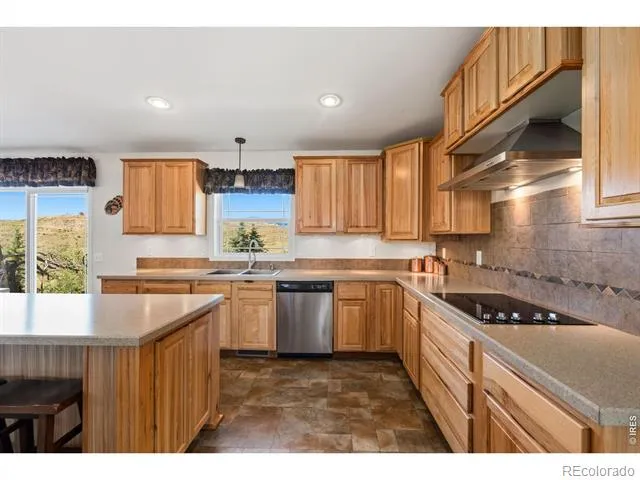 572 Horse Mountain Drive Livermore, CO 80536