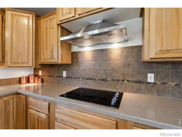 572 Horse Mountain Drive Livermore, CO 80536