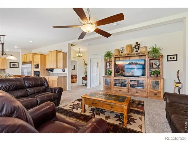 572 Horse Mountain Drive Livermore, CO 80536