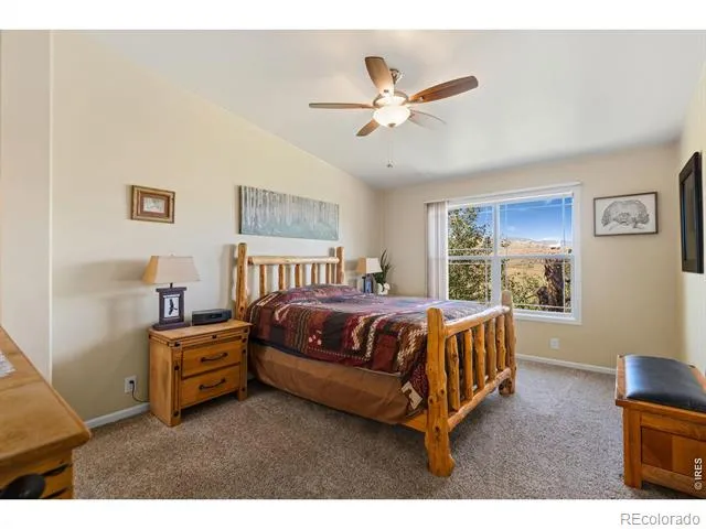 572 Horse Mountain Drive Livermore, CO 80536
