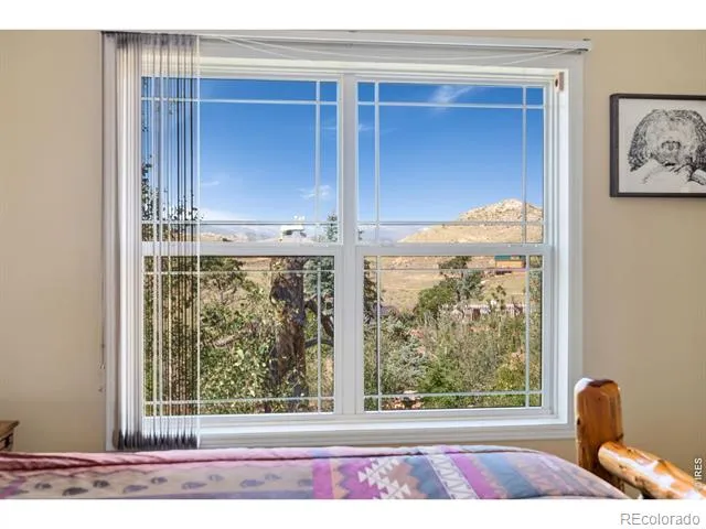 572 Horse Mountain Drive Livermore, CO 80536