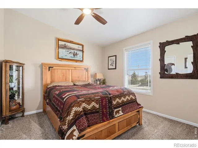 572 Horse Mountain Drive Livermore, CO 80536