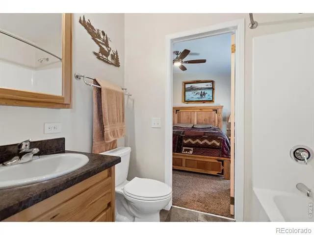 572 Horse Mountain Drive Livermore, CO 80536