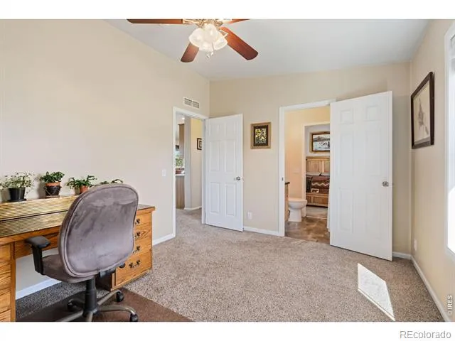 572 Horse Mountain Drive Livermore, CO 80536