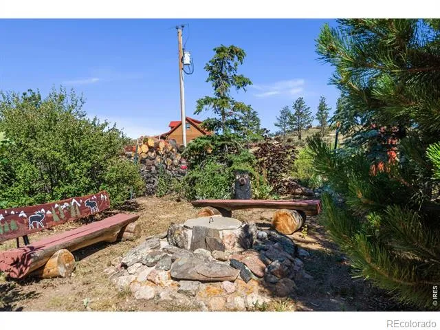 572 Horse Mountain Drive Livermore, CO 80536