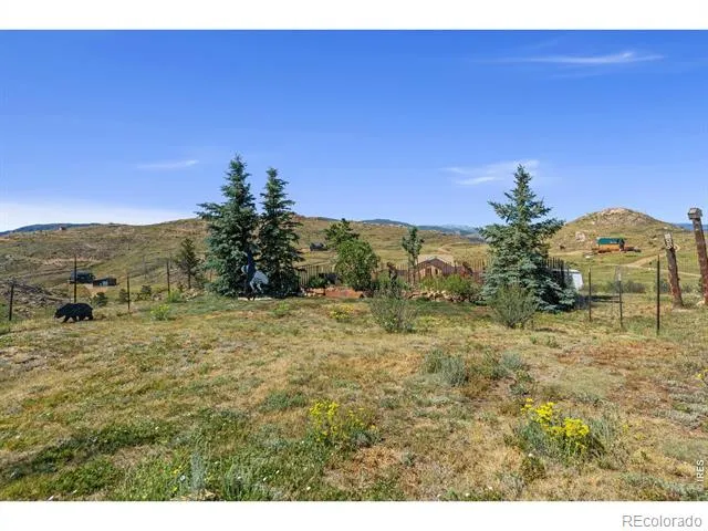 572 Horse Mountain Drive Livermore, CO 80536