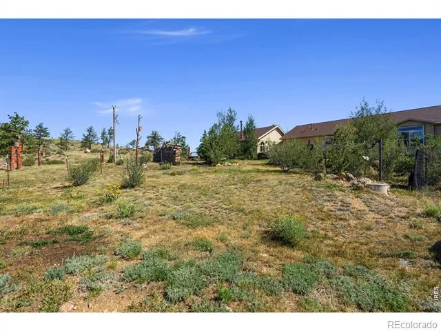 572 Horse Mountain Drive Livermore, CO 80536