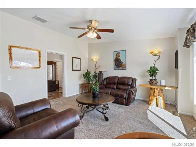 572 Horse Mountain Drive Livermore, CO 80536