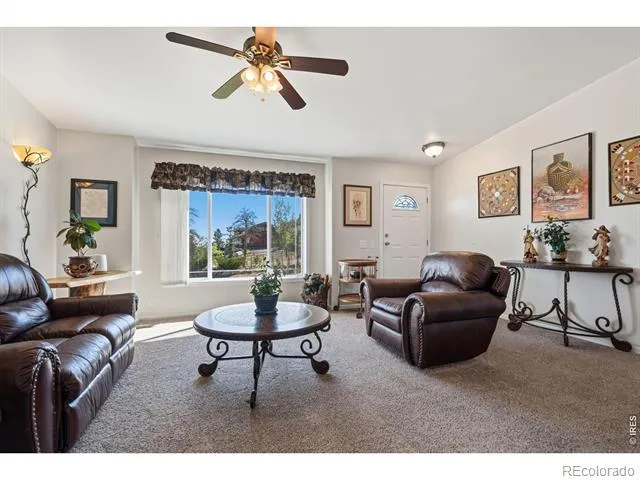 572 Horse Mountain Drive Livermore, CO 80536