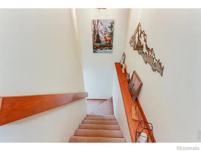 316 Big Horn Drive Estes Park, CO 80517
