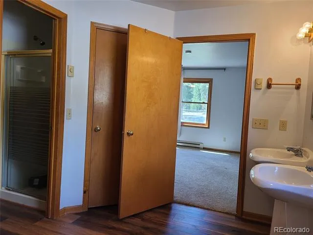 757 Thompson Park Road Fairplay, CO 80440
