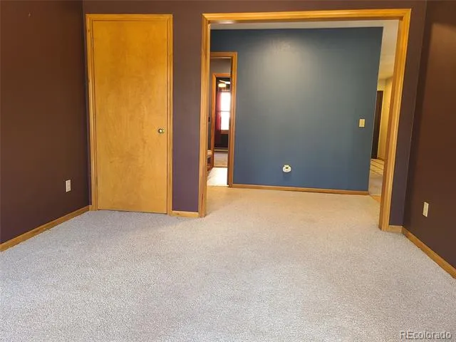 757 Thompson Park Road Fairplay, CO 80440