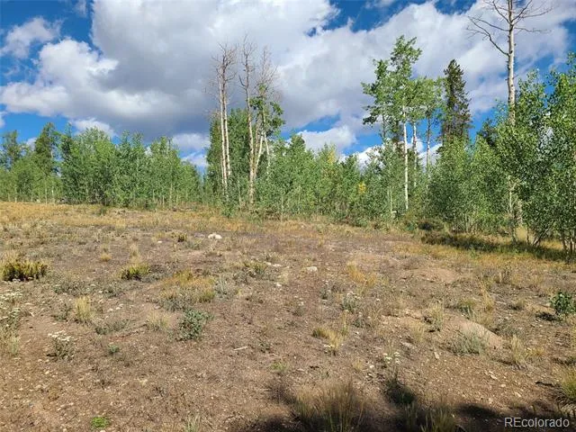 757 Thompson Park Road Fairplay, CO 80440