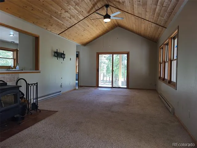 757 Thompson Park Road Fairplay, CO 80440
