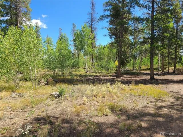 757 Thompson Park Road Fairplay, CO 80440