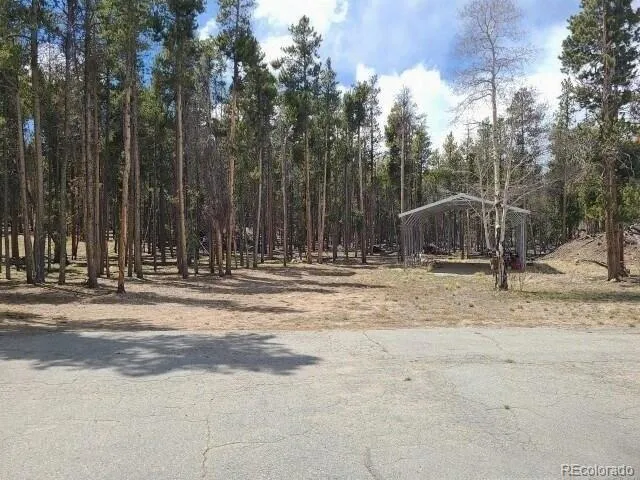 757 Thompson Park Road Fairplay, CO 80440