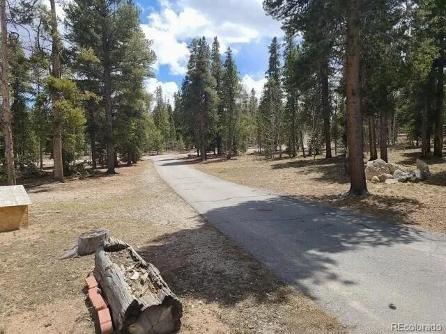 757 Thompson Park Road Fairplay, CO 80440