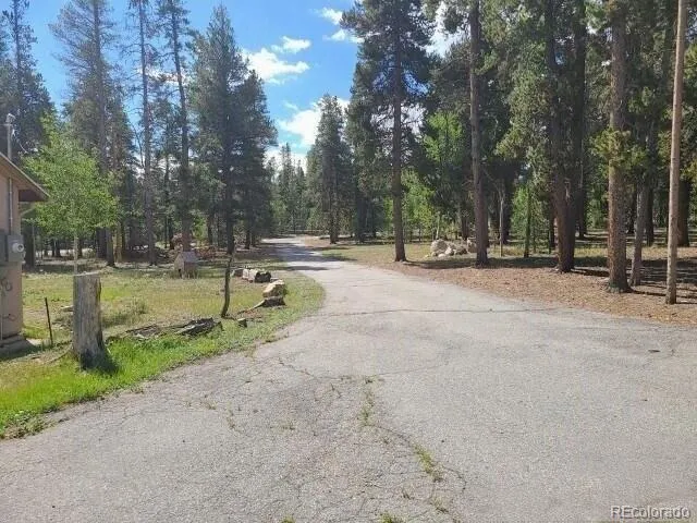 757 Thompson Park Road Fairplay, CO 80440
