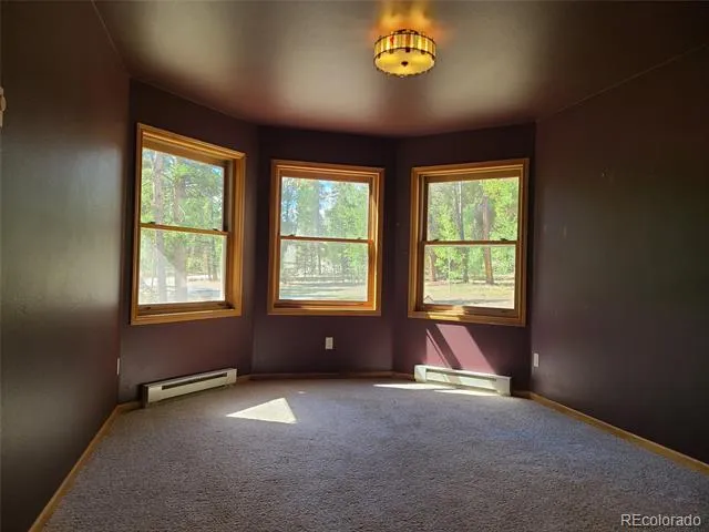 757 Thompson Park Road Fairplay, CO 80440
